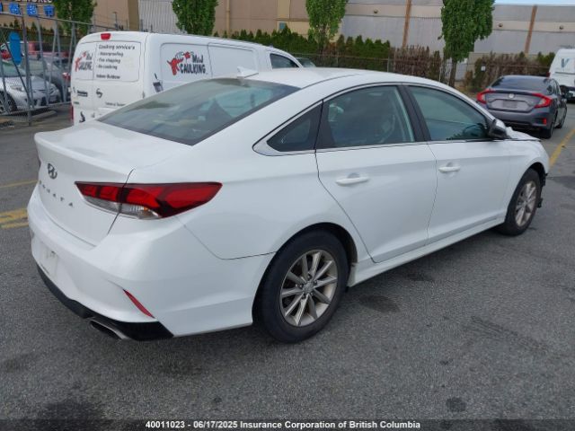 5NPE24AFXJH702955 Hyundai SONATA SE