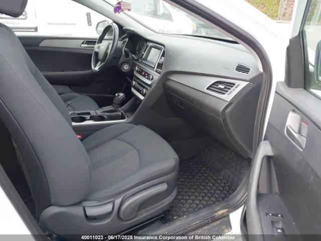 5NPE24AFXJH702955 Hyundai SONATA SE