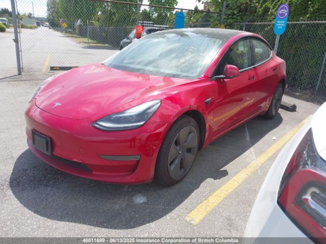 5YJ3E1EA1MF057725 Tesla MODEL 3