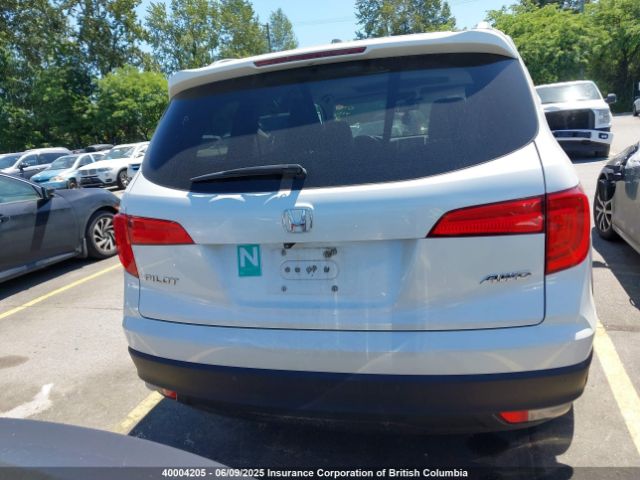 5FNYF6H76GB501265 Honda PILOT EXLN