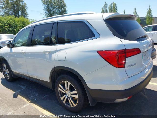 5FNYF6H76GB501265 Honda PILOT EXLN