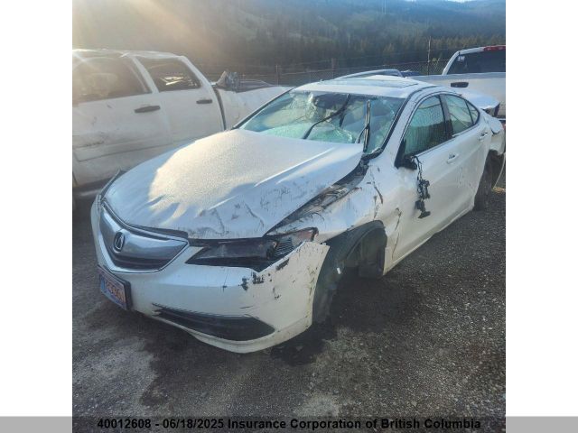 19UUB3F51HA800491 Acura TLX