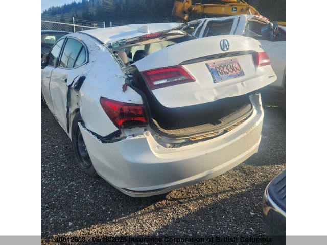 19UUB3F51HA800491 Acura TLX