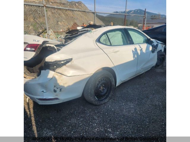 19UUB3F51HA800491 Acura TLX