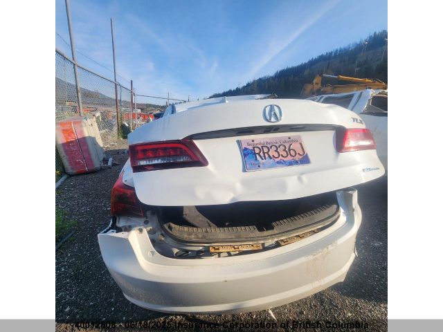 19UUB3F51HA800491 Acura TLX