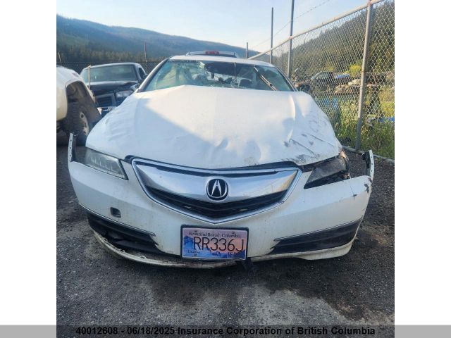 19UUB3F51HA800491 Acura TLX