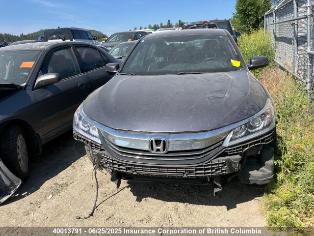 1HGCR2F52GA802203 Honda k24w1