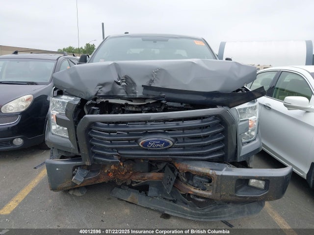Ford 2016 2016 1FTEW1EG4GFA40668 Image 12