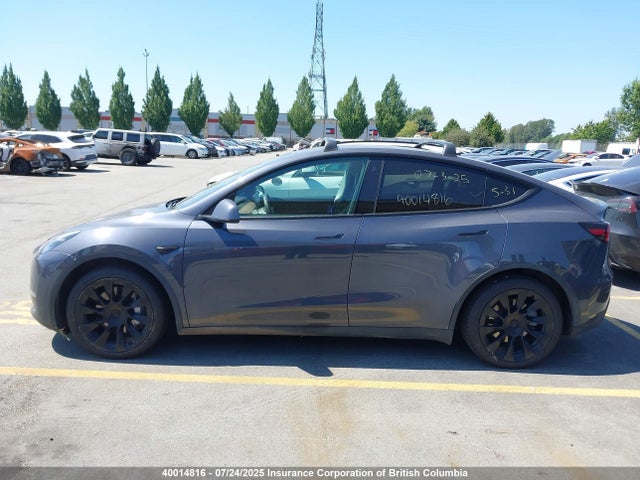 5YJYGDEE8MF089169 Tesla Model Y
