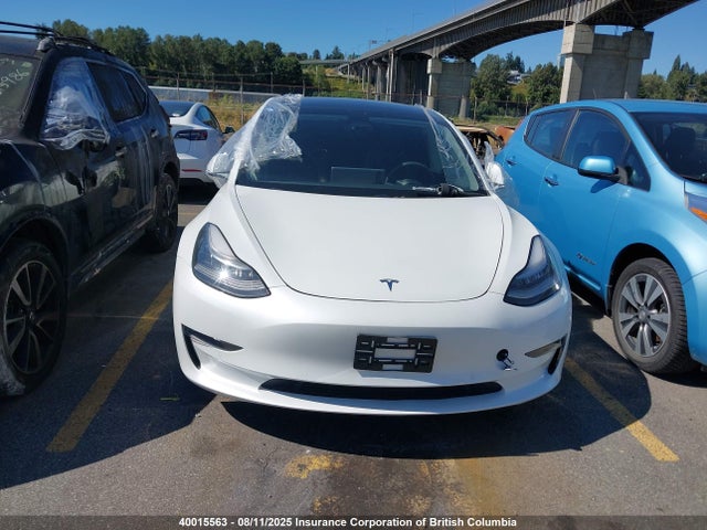 Tesla 2020 2020 5YJ3E1EBXLF801362 Image 11