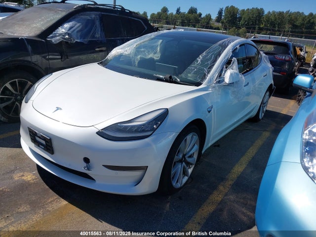 Tesla 2020 2020 5YJ3E1EBXLF801362 Image 2