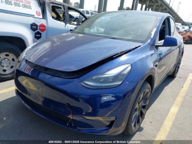 7SAYGDEE5SF262596 Tesla 2025