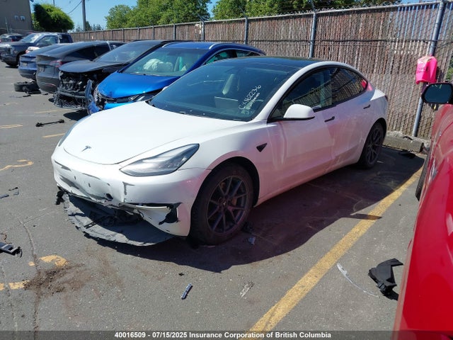 Tesla MODEL 3 2021 5YJ3E1EA2MF842707 Image 2