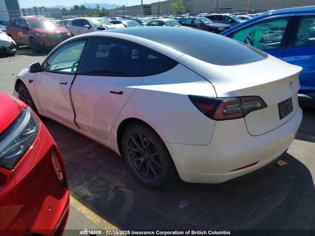 Tesla MODEL 3 2021 5YJ3E1EA2MF842707 Image 3