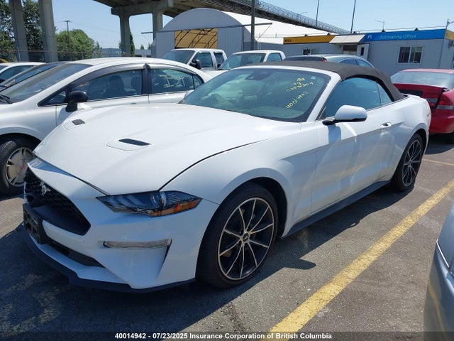 Ford 4v 2022 1FATP8UH9N5114036 Image 2