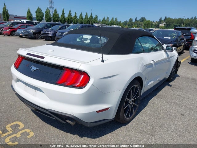 Ford 4v 2022 1FATP8UH9N5114036 Image 4
