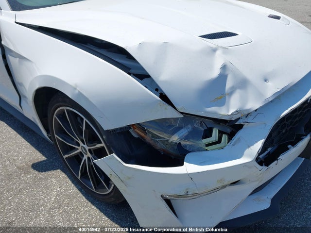 Ford 4v 2022 1FATP8UH9N5114036 Image 6