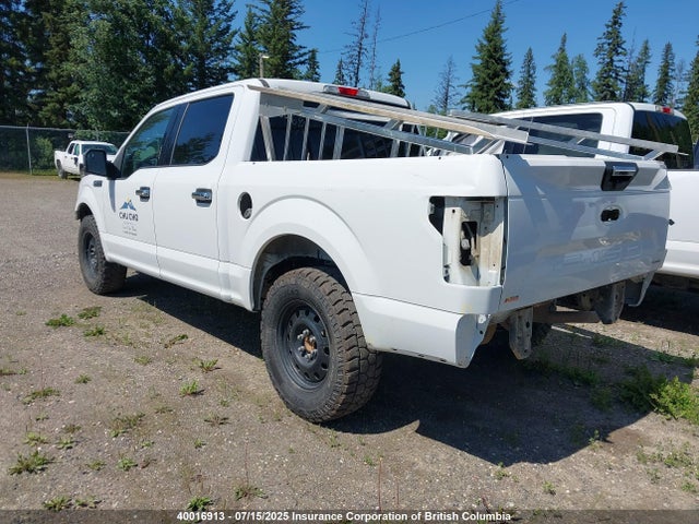 Ford gtdi 2020 1FTEW1E42LFA42127 Image 3