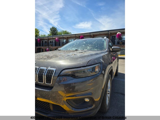Jeep Cherokee 2019 1C4PJLCB3KD185411 Image 2