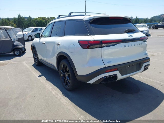 Infiniti QX60 2023 5N1DL1FS9PC331445 Image 3