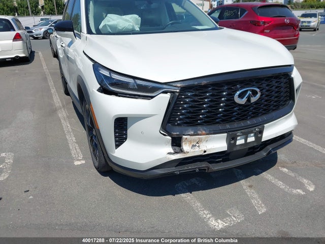 Infiniti QX60 2023 5N1DL1FS9PC331445 Image 6