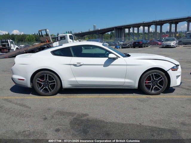 Aukcja sprzedaży 2019 Ford Mustang, vin: 1FA6P8TH3K5173061, numer aukcji: 40017744