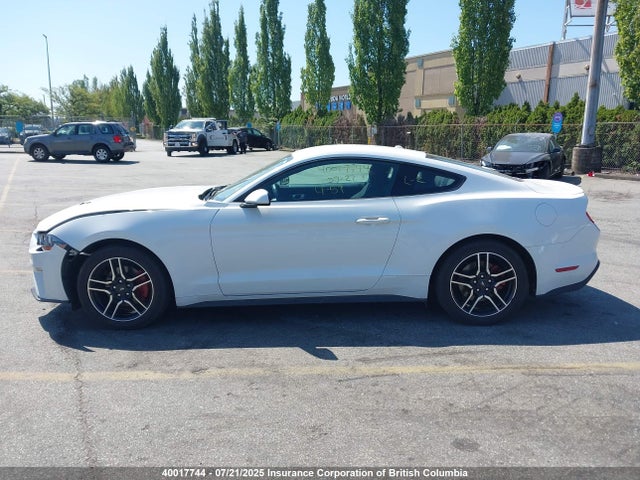 Aukcja sprzedaży 2019 Ford Mustang, vin: 1FA6P8TH3K5173061, numer aukcji: 40017744