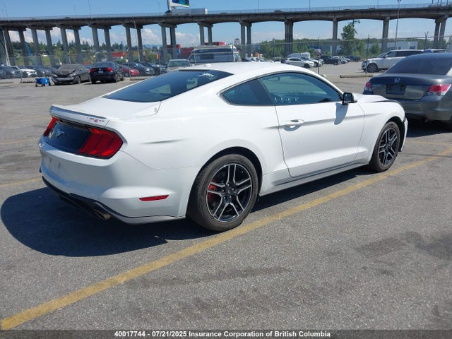 Aukcja sprzedaży 2019 Ford Mustang, vin: 1FA6P8TH3K5173061, numer aukcji: 40017744