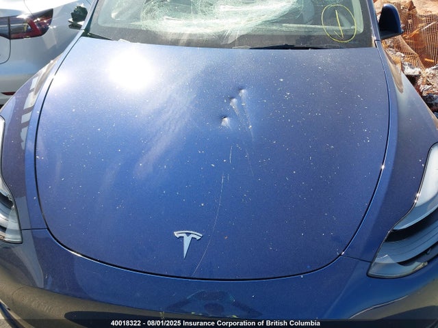 7SAYGDEE4NF537864 Tesla 2022