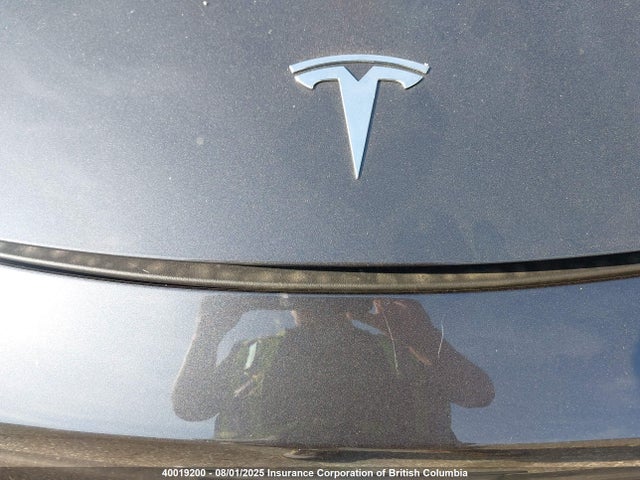7SAYGDEE6RF989384 Tesla 2024