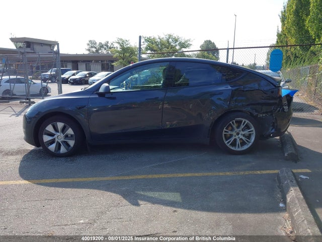 7SAYGDEE6RF989384 Tesla 2024