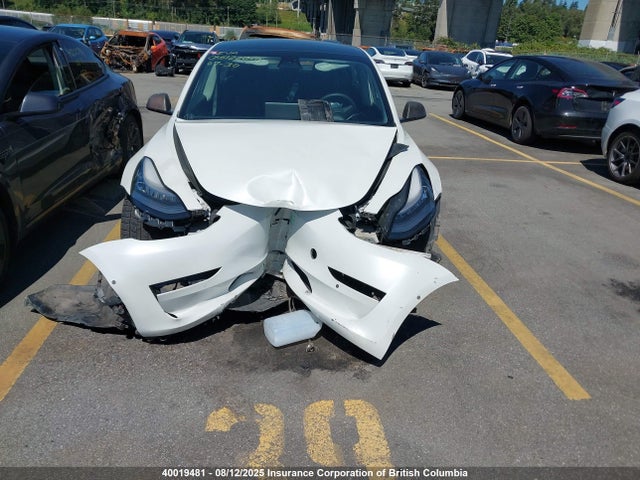Tesla MODEL 3 2021 5YJ3E1EA3MF847852 Image 12