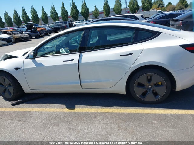 Tesla MODEL 3 2021 5YJ3E1EA3MF847852 Image 14