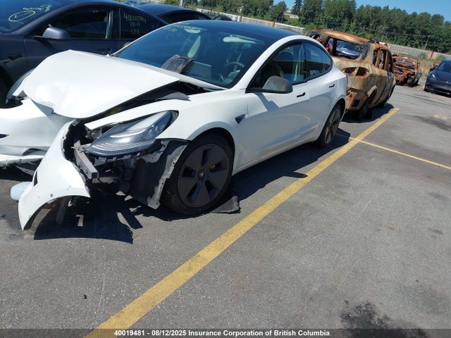 Tesla MODEL 3 2021 5YJ3E1EA3MF847852 Image 2