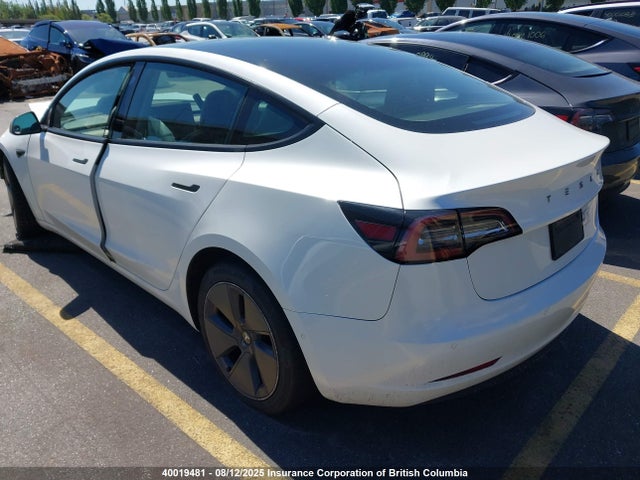 Tesla MODEL 3 2021 5YJ3E1EA3MF847852 Image 3