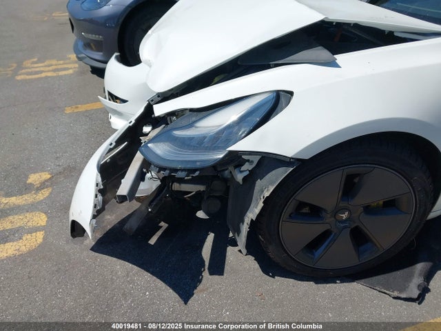 Tesla MODEL 3 2021 5YJ3E1EA3MF847852 Image 6