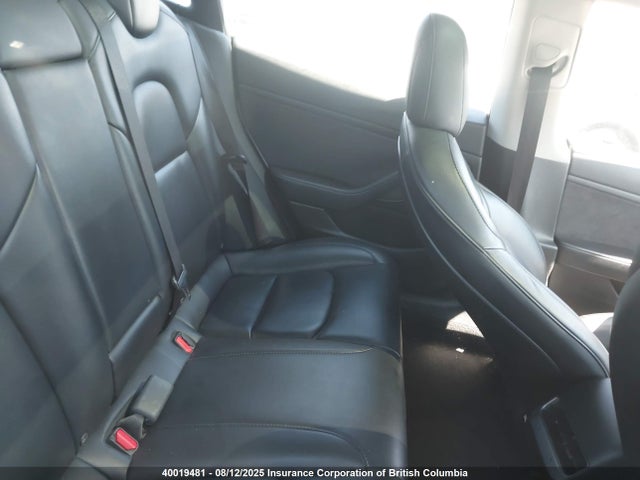 Tesla MODEL 3 2021 5YJ3E1EA3MF847852 Image 8