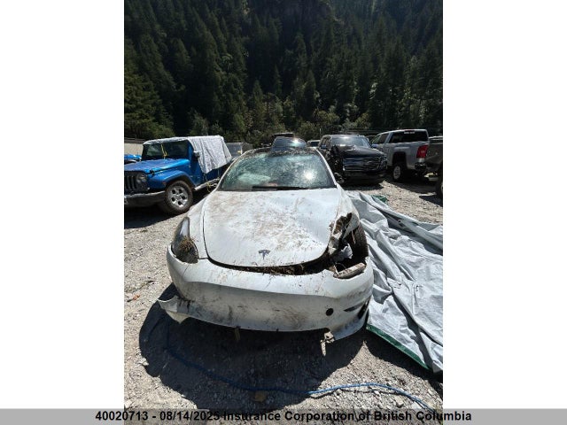 5YJ3E1EA6PF560977 Tesla MODEL 3