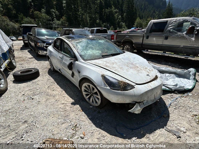 5YJ3E1EA6PF560977 Tesla MODEL 3
