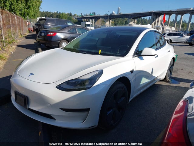 Tesla MODEL 3 2021 5YJ3E1EA6MF985952 Image 2