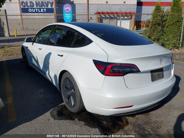 Tesla MODEL 3 2021 5YJ3E1EA6MF985952 Image 3