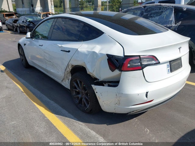 Tesla MODEL 3 2021 5YJ3E1EA1MF057627 Image 3