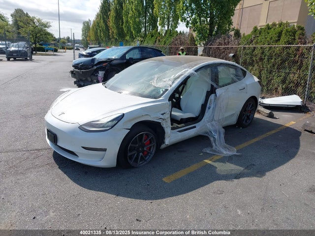 Tesla MODEL 3 2021 5YJ3E1EA8MF842677 Image 2