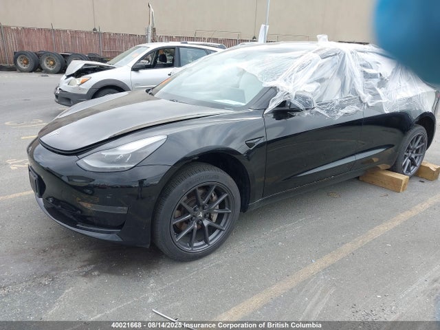 Tesla MODEL 3 2021 5YJ3E1EA1MF045655 Image 2