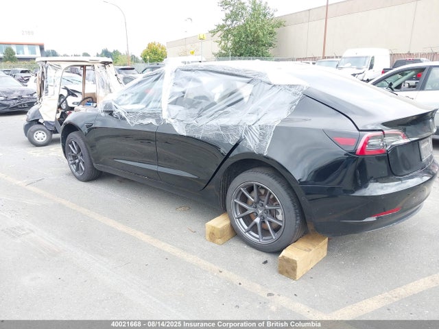 Tesla MODEL 3 2021 5YJ3E1EA1MF045655 Image 3