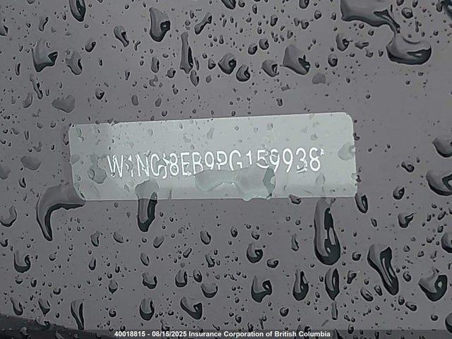 W1N0J8EB9PG159938 Mercedes-Benz m264