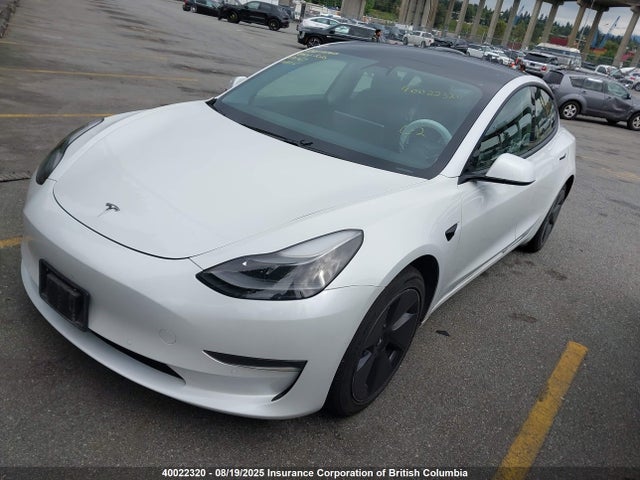 Tesla MODEL 3 2021 5YJ3E1EA5MF867035 Image 2