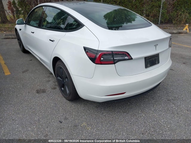 Tesla MODEL 3 2021 5YJ3E1EA5MF867035 Image 3