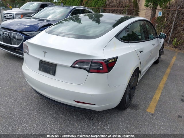 Tesla MODEL 3 2021 5YJ3E1EA5MF867035 Image 4