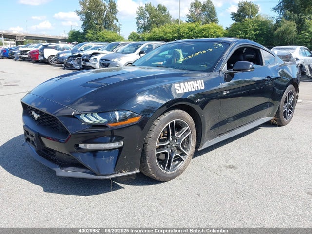 Ford 4v 2019 1FA6P8TH2K5173052 Image 2
